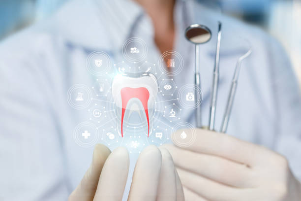 Trusted Albemarle, NC Holistic Dental Care Services Experts